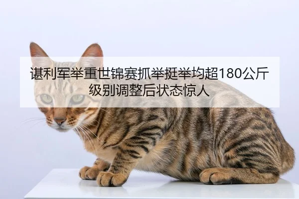 chen-li-jun-ju-zhong-shi-jin-sai-zhua-ju-ting-ju-jun-chao-gong-jin-ji-bie-tiao-zheng-hou-zhuang-tai-jing-ren-2-955.jpg